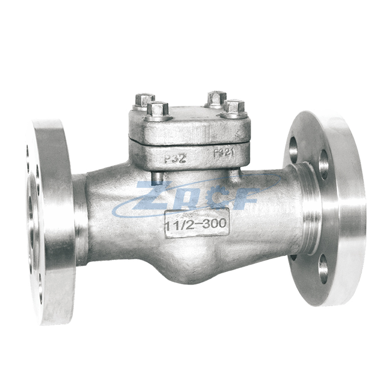 Forged steel check valve