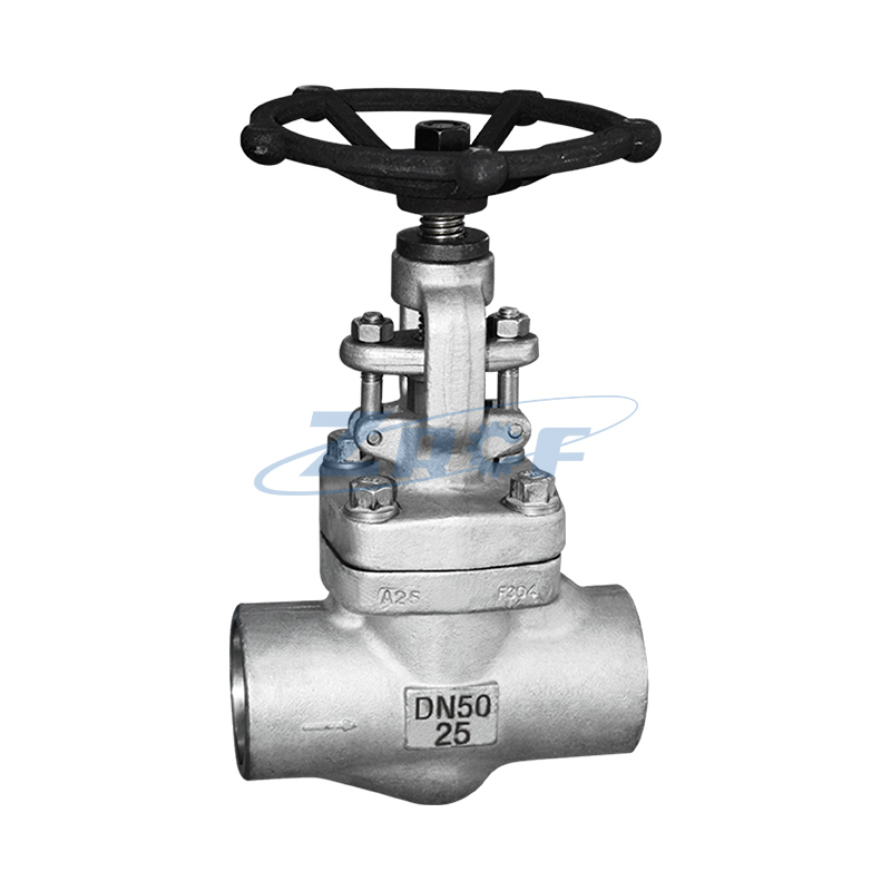 Forged steel globe valve